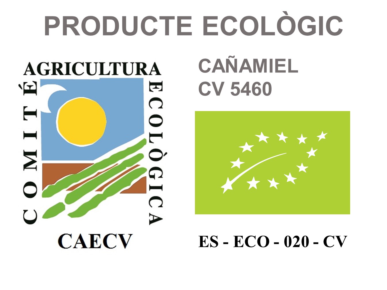 producto-ecologico producto-ecologico
