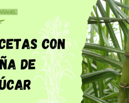 Recetas con Caña de Azúcar para Sorprender a tu Paladar