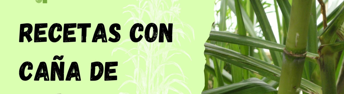 Recetas con Caña de Azúcar para Sorprender a tu Paladar